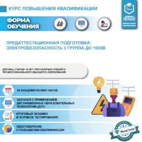 Предаттестационная подготовка: Электробезопасность 3 группа до 1000В (ДПО-ПП-ЭБ-03)