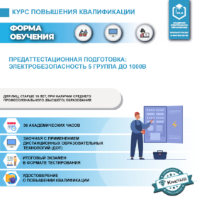 Предаттестационная подготовка: Электробезопасность 5 группа до 1000В (ДПО-ПП-ЭБ-05)