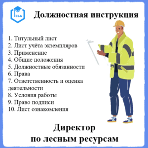 Должностная инструкция: Директор по лесным ресурсам