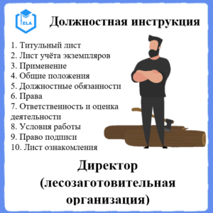 Должностная инструкция: Директор (Лесозаготовительная организация)