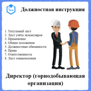 Должностная инструкция: Директор (Горнодобывающая организация)